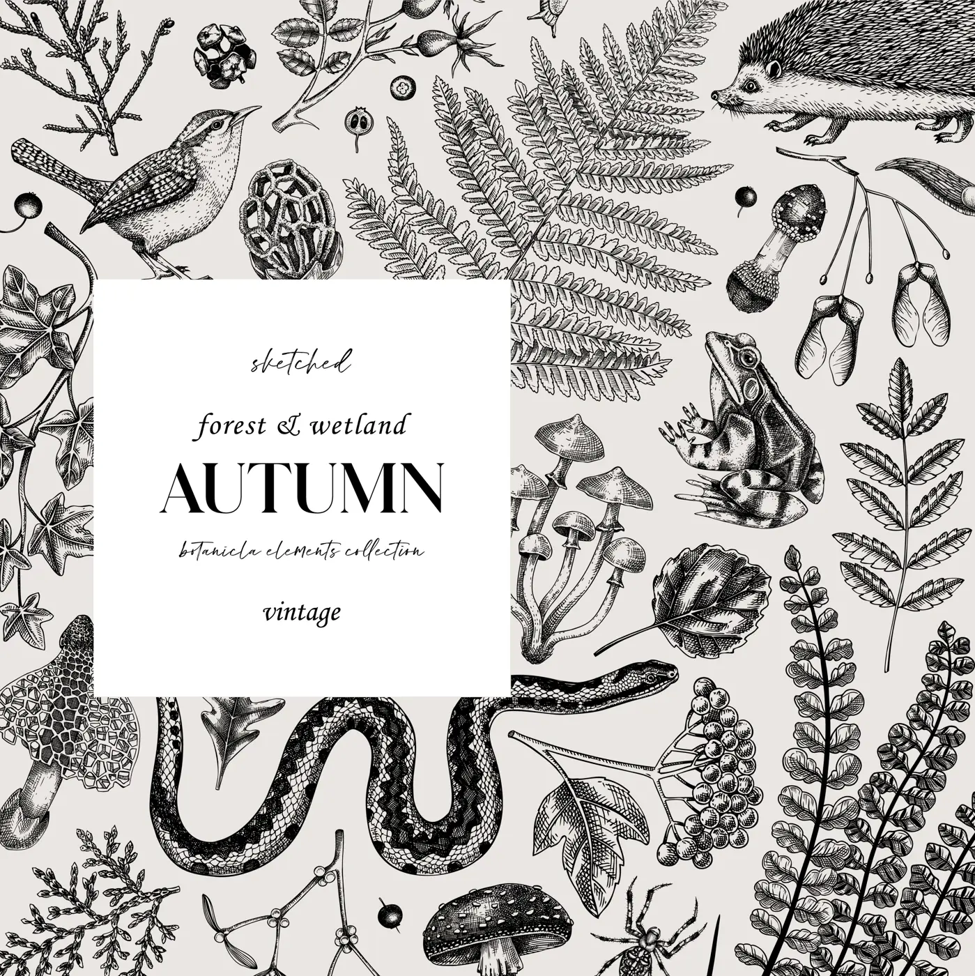 Autumn forest background. Woodland animals, fall leaves, ferns, mushrooms sketches. Fall nature backdrop. Hand-drawn vector illustration. Vintage botanical invitation or greeting card, frame design  Illustration